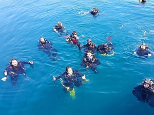 Balıkesir'in Ayvalık ilçesinde deniz dibi temizliği yapıldı