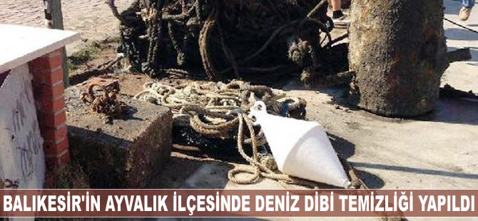Balıkesir'in Ayvalık ilçesinde deniz dibi temizliği yapıldı