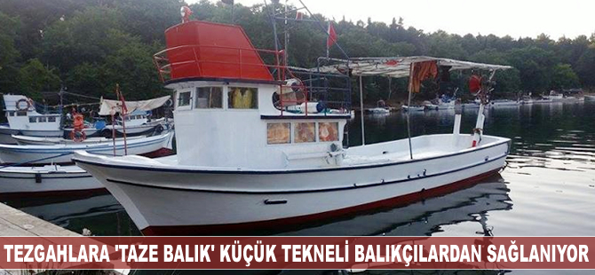 Tezgahlara 'taze balık' küçük tekneli balıkçılardan sağlanıyor