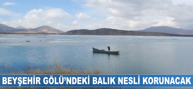 Beyşehir Gölü'ndeki balık nesli korunacak