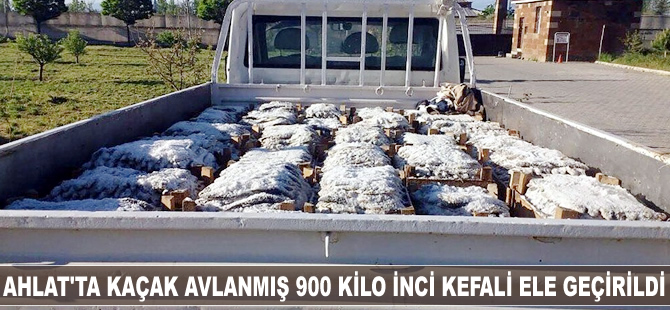 Ahlat'ta kaçak avlanmış 900 kilo inci kefali ele geçirildi
