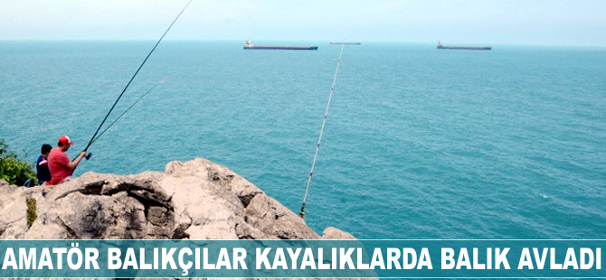 Amatör balıkçılar kayalıklarda balık avladı