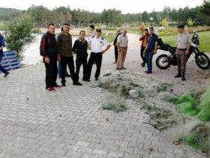Pelitözü Göleti'nden bin metre uzunluğunda balık ağı çıkarıldı