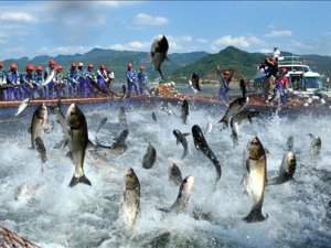 İsrail Gazze'deki 9 mil balık avlama süresini uzattı