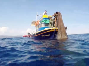 Edremit Körfezi'nde 700 metre balık ağı çıkarıldı