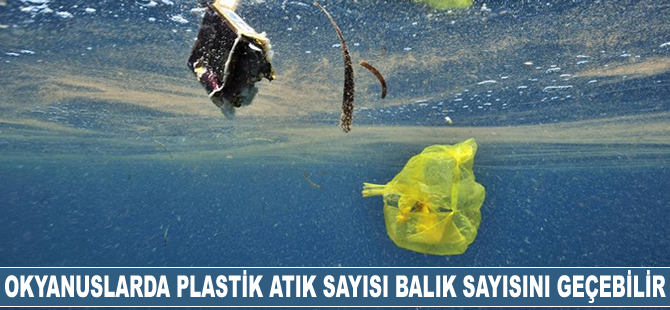 BM Genel Sekreteri Antonio Guterres: Okyanuslardaki plastik atık sayısı balık sayısını geçebilir