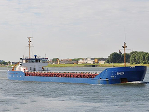 M/V SALIX isimli geminin kaptanı serbest bırakıldı