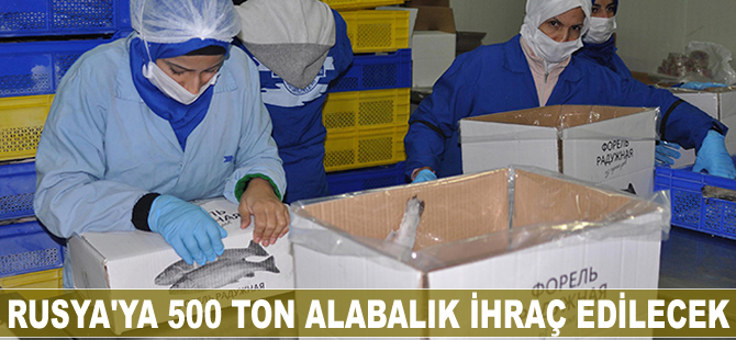 Rusya'ya 500 ton dondurulmuş alabalık ihraç edilecek