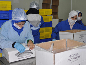 Rusya'ya 500 ton dondurulmuş alabalık ihraç edilecek