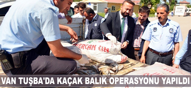 Tuşba’da kaçak balık operasyonu yapıldı