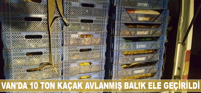 Van’da 10 ton kaçak avlanmış balık ele geçirildi