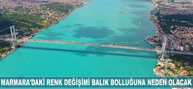 Marmara'daki renk değişimi balık bolluğuna neden olacak
