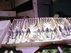 Av yasağı Bilecik'te balık tezgahlarını boş bıraktı