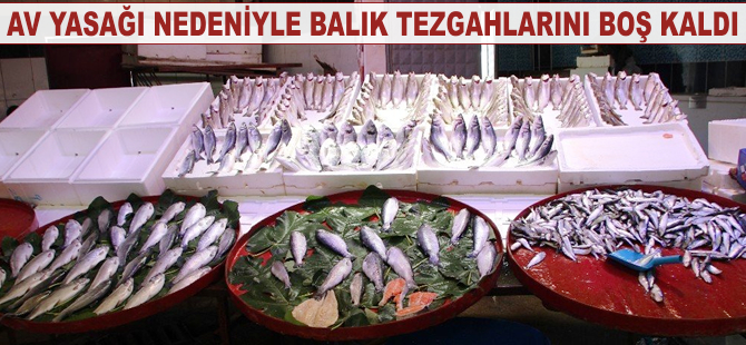 Av yasağı Bilecik'te balık tezgahlarını boş bıraktı