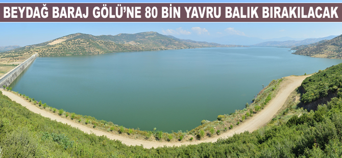 Beydağ Baraj Gölü'ne binlerce yavru balık bırakılacak