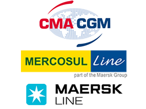 Mercosul Line şirketi CMA CGM’ye satılıyor