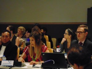 'Gökova Körfezi' BM Okyanus Konferansı'nda ele alındı