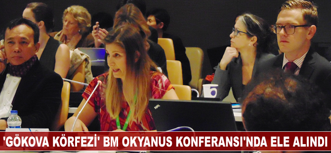 'Gökova Körfezi' BM Okyanus Konferansı'nda ele alındı