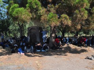 Çanakkale'de 59 göçmen Ege Denizi'ne açılamadan yakalandı