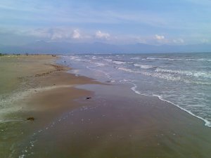 Adana'da deniz ve göl temizliği yapıldı