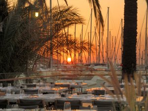 D-Marin Turgutreis Yacht Club, 12 sergiye ev sahipliği yapacak