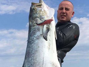 Babalar Günü'nde Çanakkale Boğazı'nda 30 kiloluk liça avladı