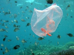 Okyanusların plastik kirliliğine dikkat çekmek için koştular