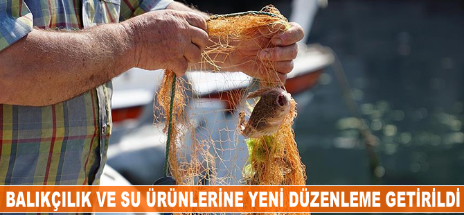 Balıkçılık ve su ürünlerine yeni düzenleme getirildi