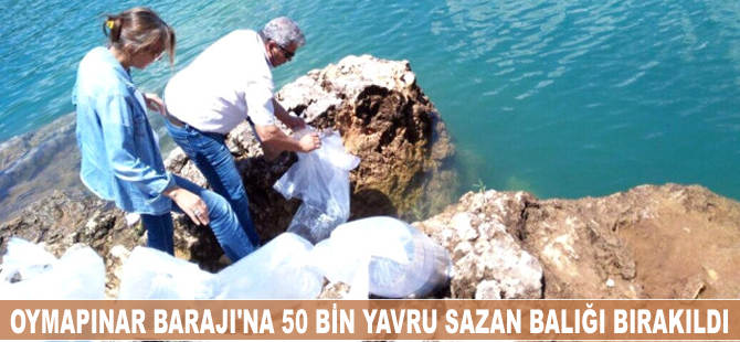 Manavgat Oymapınar Barajı'na 50 bin yavru sazan balığı bırakıldı