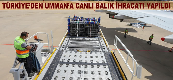 Türkiye'den Umman'a canlı balık ihracatı yapıldı