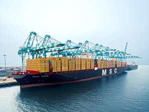 VDA: Konteyner de Arz-Talep dengesi gözetilmeli