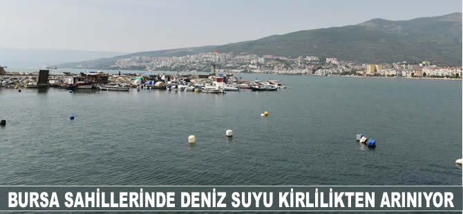 Bursa'da deniz suyu kirlilikten arınıyor