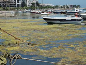 Samsun Kurupelit Yat Limanı temizlenmeye başladı
