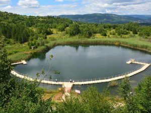 Karagöl'e 30 Bin yavru sazan balığı bırakıldı