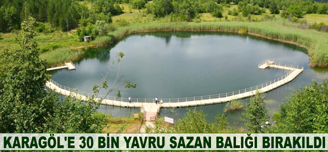 Karagöl'e 30 Bin yavru sazan balığı bırakıldı