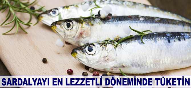 Sardalyayı en lezzetli döneminde tüketin
