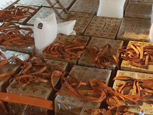 Katar'a gönderilen gıda gemisi, yükünü indirmeye başladı