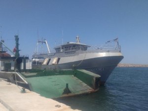 Çanakkale'de 226 kaçak göçmen yakalandı