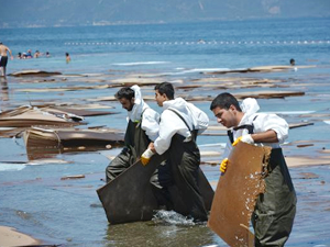 'MSS Pelet' gemisinden dökülen suntalar Gemlik Sahili'ne vurdu