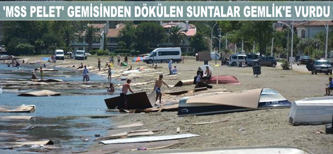 'MSS Pelet' gemisinden dökülen suntalar Gemlik Sahili'ne vurdu