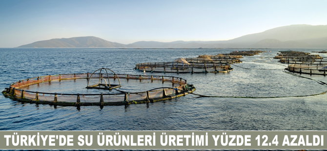 Türkiye'de su ürünleri üretimi azaldı