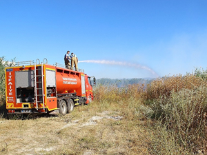 Dalyan sazlığında çıkan yangın vatandaşları korkuttu
