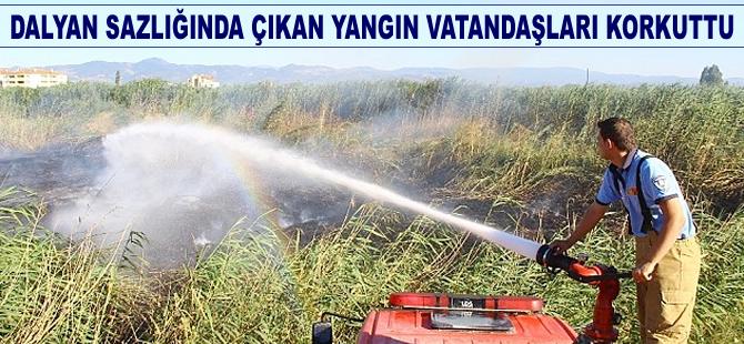 Dalyan sazlığında çıkan yangın vatandaşları korkuttu