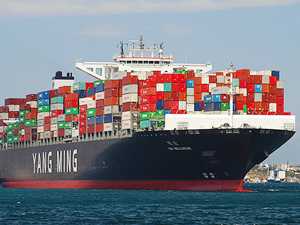 Yang Ming ikinci kez yeni hisse senedi çıkaracağını duyurdu