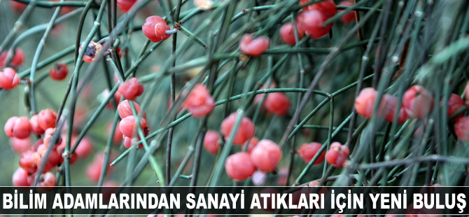 Güney Koreli bilim adamlarından yeni buluş