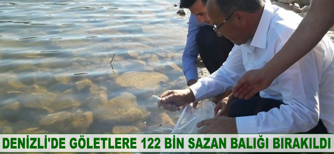 Denizli’de göletlere 122 bin sazan balığı bırakıldı