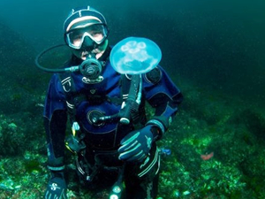 Erdek Körfezi'nde yapay resifler balık popülasyonunu artırdı