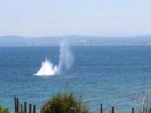 Bozcaada'da bulunan patlamamış mayın imha edildi