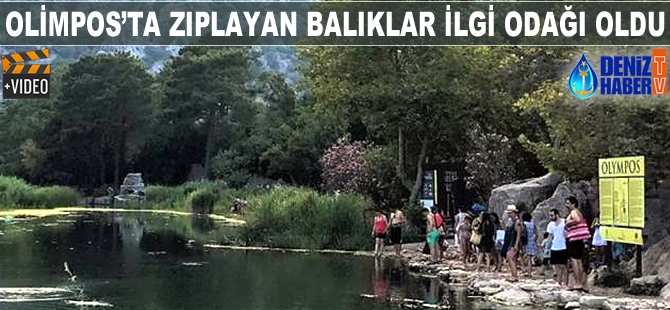 Olimpos'ta zıplayan balıklar ilgi odağı oldu