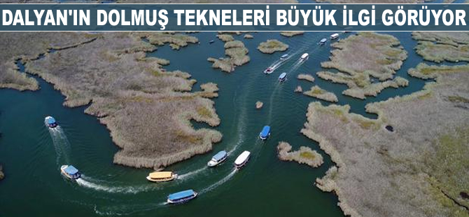 Dalyan'ın dolmuş tekneleri büyük ilgi görüyor